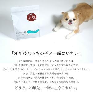 ドッグフード DOZO 超小粒 100g アイ...の詳細画像2
