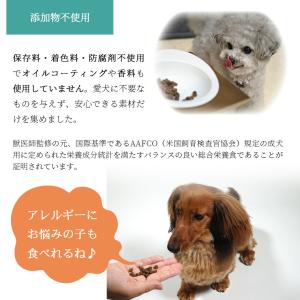 ドッグフード DOZO 超小粒 100g アイ...の詳細画像4