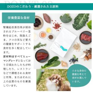 ドッグフード DOZO 超小粒 100g アイ...の詳細画像5