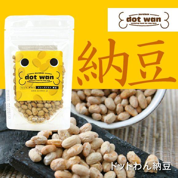 ドッグフード ドットわん 納豆ミニ 25gミニパック ドッグフード メール便OK