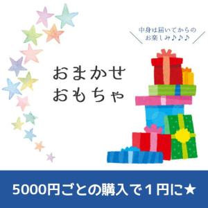 5000円ごとのご購入でおまかせ おもちゃが１円