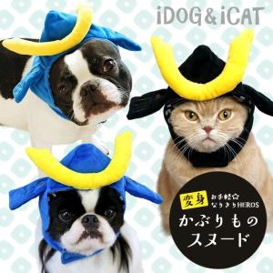 ひなまつりや端午の節句の犬 猫のコスプレ衣装が意外と少ないと思った 生活を素敵に変えるノウハウ満載 生活に便利な情報を伝えています