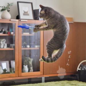 猫 おもちゃ 猫用品 iCat FLYING ...の詳細画像5