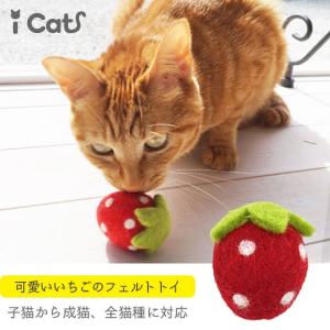 猫用品 iCaTOY コロコロフェルトTOY いちご｜idog