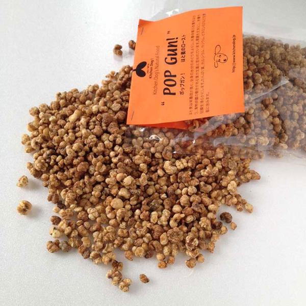 ドッグフード キッチンドッグ/POP GUN!はと麦のロースト