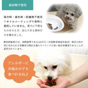 ドッグフード DOZO 700g×3袋 まとめ...の詳細画像5