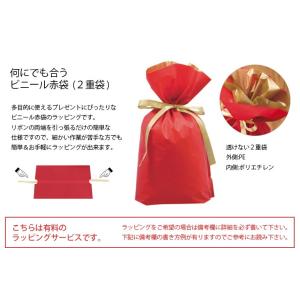 金と赤のギフト袋【敬老の日/ギフト/プレゼント...の詳細画像2