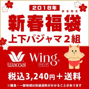 福袋 2018 レディース ワコール ウィング・ナイティ 福...