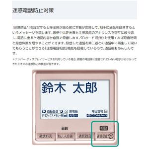 【在庫あり】KX-PD550DW-N パナソニ...の詳細画像2