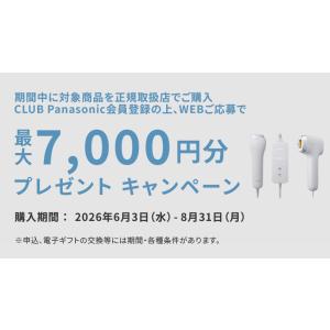 【在庫あり】ES-WG0B-H Panason...の詳細画像1
