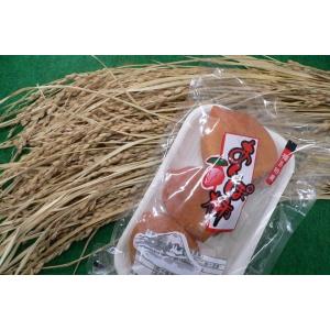 天日と寒暖の差にさらされ、自然が作り出す！【福島産 あんぽ柿 （蜂屋柿）1パック 約230g（３〜６コ）×4入セット×１箱】