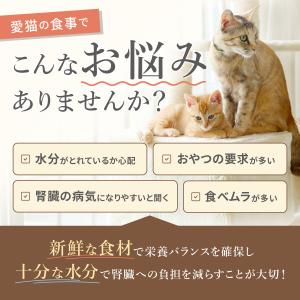 キャットフード お試し2種セット 各50g ド...の詳細画像1