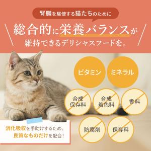 キャットフード お試し2種セット 各50g ド...の詳細画像2