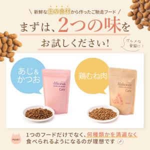 キャットフード お試し2種セット 各50g ド...の詳細画像3