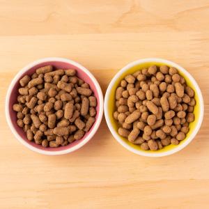 キャットフード お試し2種セット 各50g ド...の詳細画像5