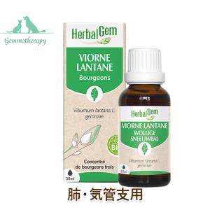 HerbalGem  犬用 サプリメント ジェモセラピー リシィツリー 【肺・気管支用】 [30ml] 子犬用／成犬用／高齢犬（シニア犬）用 無添加 dog visions｜ie-visions