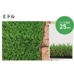 【新品未使用】リアリーターフ　R6 ミドル+　25mm　1m×10m R6】リアリーターフ®人工芝 ミドル+(プラス)（パイル25mm）1m