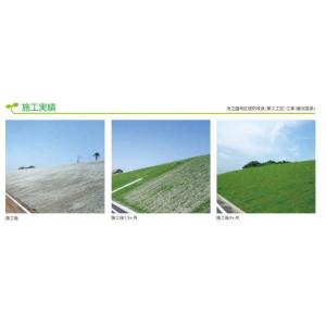 ロンタイ ロンケットエース 1m×25m巻 植...の詳細画像2
