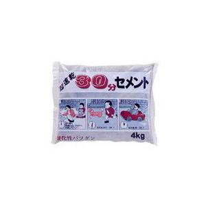 家庭化学工業 超速乾30分セメント 4kg グレー : 家ファン! Yahoo!店