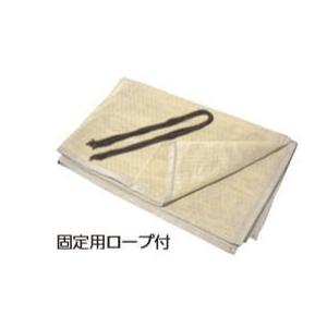 タカショー (14515700) パーゴラシェードサンドストーン 2間×8尺 ※直送