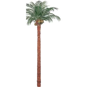 あすつく タカショー サイパンヤシ 組立式 本体のみ 3 9ｍ ヤシの実 ３個つき Gd l 観葉植物 Takasho2 家ファン 店 当店限定販売売れ筋 Testm2 Hernest Com