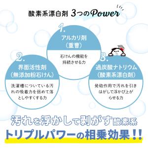 洗たく槽クリーナー 500g 1回分 酵素系 ...の詳細画像2