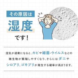 炭八 小袋 0.7L 1袋 シンク下 衣装ケー...の詳細画像2