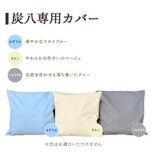 炭八 福袋 12点セット 除湿剤 炭八 12L...の詳細画像4