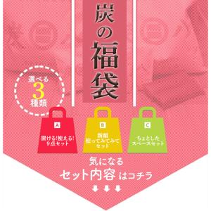 炭八 福袋 選べるお試しセット 除湿剤 乾燥剤...の詳細画像1