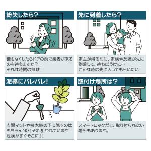 【革命的商品】遠隔でパスワード発行 月額不要 ...の詳細画像3
