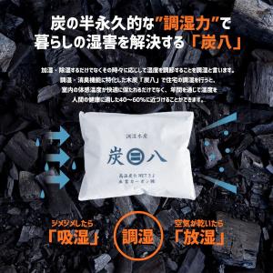 【レビューで国産竹炭GET!】炭八 押し入れ用...の詳細画像3
