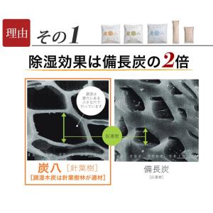 【レビューで炭八GET!】炭八 4種類セット ...の詳細画像1