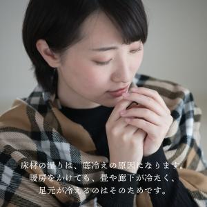 【レビューで国産竹炭GET!】炭八 床下用 1...の詳細画像3