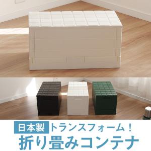 MILITARY（ミリタリー） 【送料込】実物 スイス軍 A-10 EDAK社製