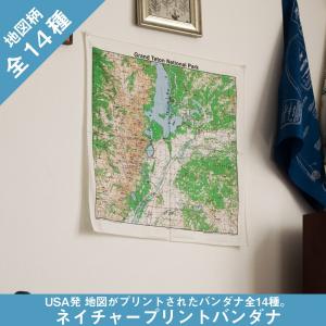 バンダナ 地図柄 ネイチャープリント マップ 1180001 A&F｜イエノLabo.