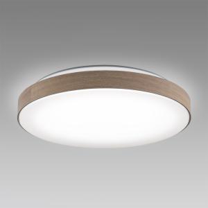 東芝 LEDシーリングライト 調光・調色 ペンダントリング 12畳用