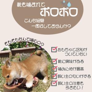 犬 猫 噛むおもちゃ スリッパ形 おもちゃ ス...の詳細画像1