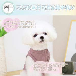 犬服 犬の服 春 夏 秋 ドッグウェア ペット...の詳細画像2