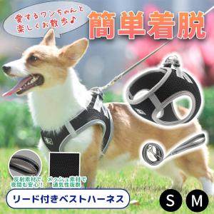 PRADA（プラダ） ペット用品 2YX003 2DMI F0002 ユニセックス ブラック