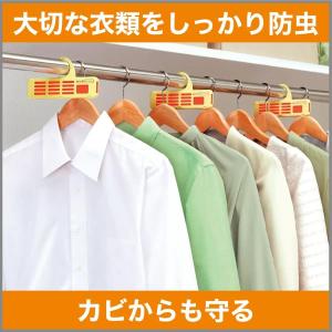 ムシューダ クローゼット用 1年 5個入 防虫...の詳細画像3