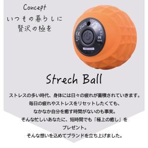 ストレッチボール バイブレーションボール 振動...の詳細画像1