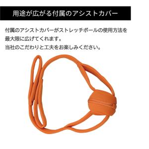 ストレッチボール バイブレーションボール 振動...の詳細画像4