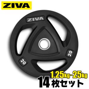 日本総代理店 Φ50mm 20kg バーベルプレート IVANKO イヴァンコ