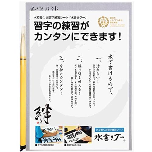木と字の神林 水書き書道セット 水書きグー 半紙サイズ 入門セット1 MIZU-1