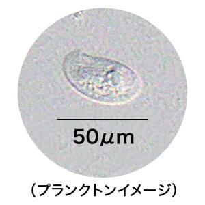 GEX メダカ元気 生きたプランクトンフード ...の詳細画像2
