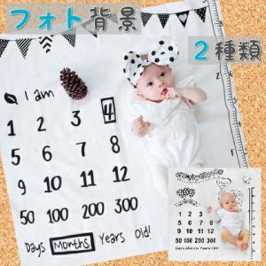 赤ちゃん 月齢フォト グッズの商品一覧 通販 Yahoo ショッピング