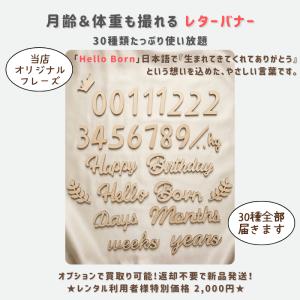 ニューボーンフォト レンタル セット 新生児撮...の詳細画像4