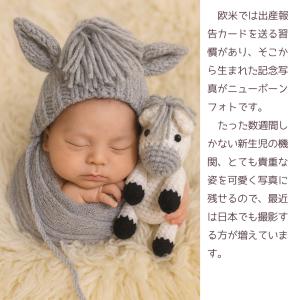 ニューボーンフォト コスチューム セルフ セッ...の詳細画像1