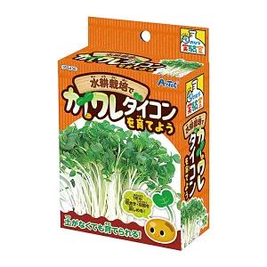 日本製 実験 自由研究 秋休み 冬休み 水耕栽培 カイワレダイコン かいわれ カイワレ大根  観察 ...