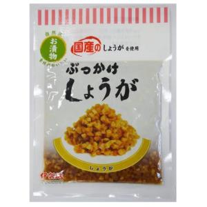 ぶっかけしょうが 80g